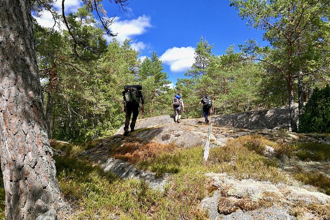 1-Day Small-Group Stockholm Nature Summer Hiking - Meeting and Pickup
