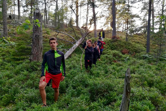 1-Day Small-Group Stockholm Nature Summer Hiking - Reviews Summary