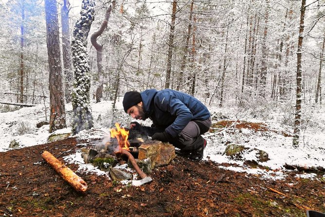 1-Day Small-Group Stockholm Nature Winter Hiking - Learn About Local Flora and Fauna