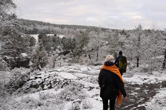 1-Day Small-Group Stockholm Nature Winter Hiking - Lunch, Coffee, and Snacks Included