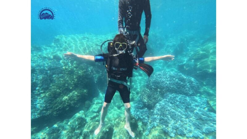1 Day Snorkeling Tour in Cham Island Hoi An - Itinerary Details