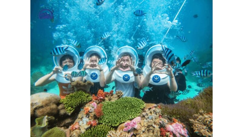 1 Day Snorkeling Tour in Cham Island Hoi An - Inclusions