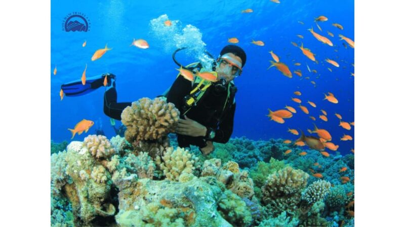 1 Day Snorkeling Tour in Cham Island Hoi An - Booking Information