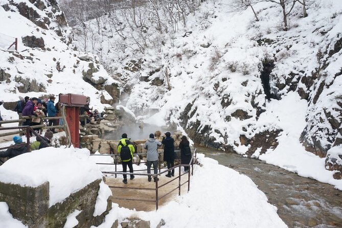 1-Day Snow Monkeys, Zenko-ji Temple & Sake in Nagano - Snow Monkey Park Rules