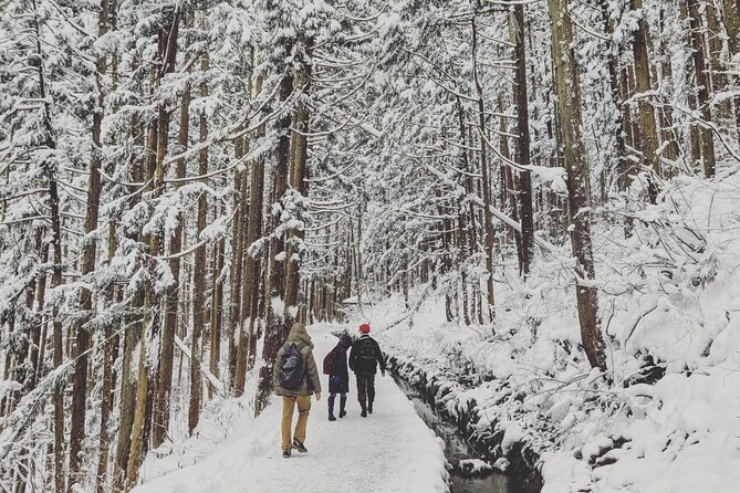 1-Day Snow Monkeys, Zenko-ji Temple & Sake in Nagano - Cancellation Policy