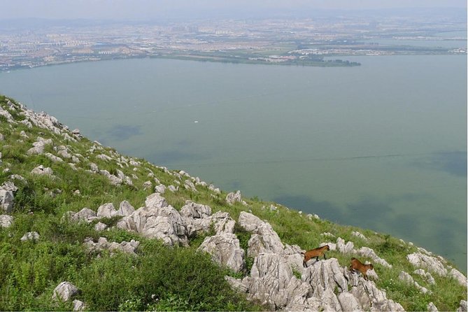 1 Day Spring City Private Trip - Inclusions in the Package
