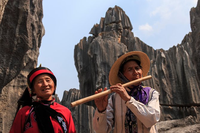 1 Day Stone Forest & Jiuxiang Cave Tour - Itinerary Highlights