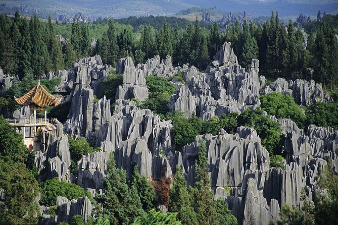 1 Day Stone Forest & Jiuxiang Cave Tour - Cancellation Policy