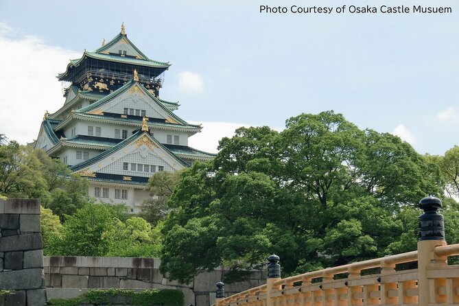 1 Day Takoyaki Making and Osaka Castle Walking Tour - Accessibility and Participation Requirements