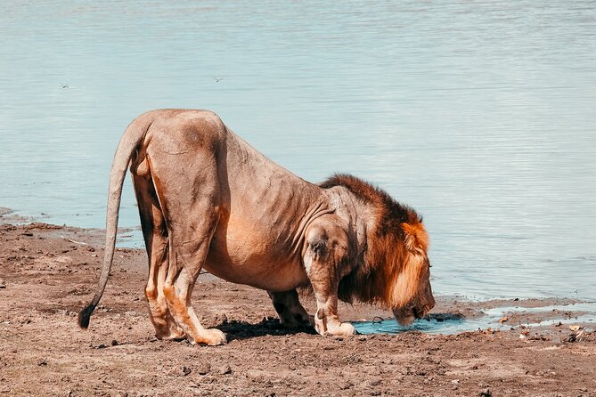 1 Day Tanzania - Selous Game Reserve Safari Tour - Included in the Tour