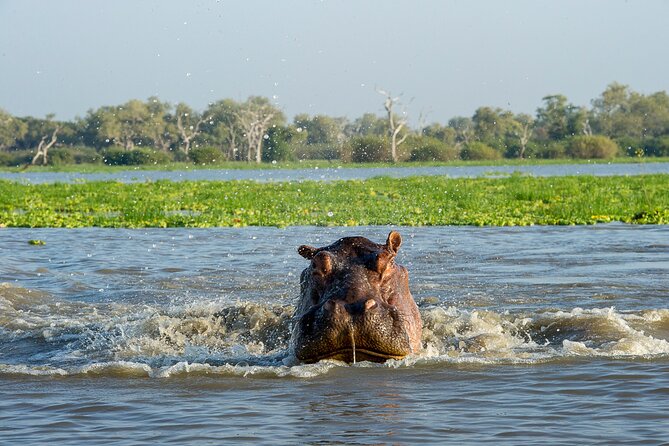1 Day Tanzania - Selous Game Reserve Safari Tour - Arrival and Departure Details