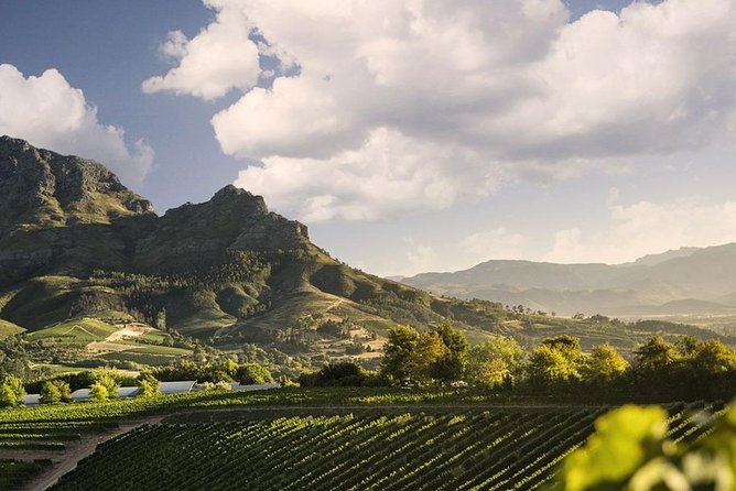 1 Day Taste +Tram the Winelands: Franschhoek, Stellenbosch, Paarl - Franschhoek Wine Tram Ride