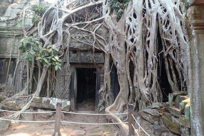 1 Day-Temple Tours + Sunrise - Temple Tour Experience
