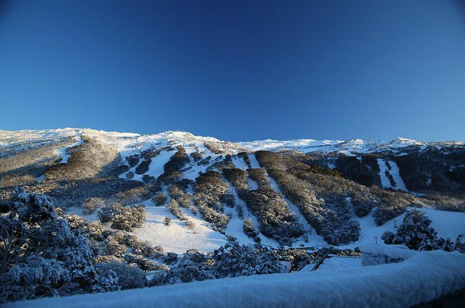 1 Day Thredbo Snow Tour - The Experience on the Slopes