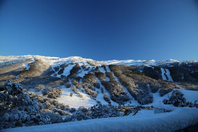 1 Day Thredbo Snow Tour - Who Will Love This Tour?