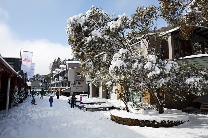 1 Day Thredbo Snow Tour From Sydney - Reviews and Feedback