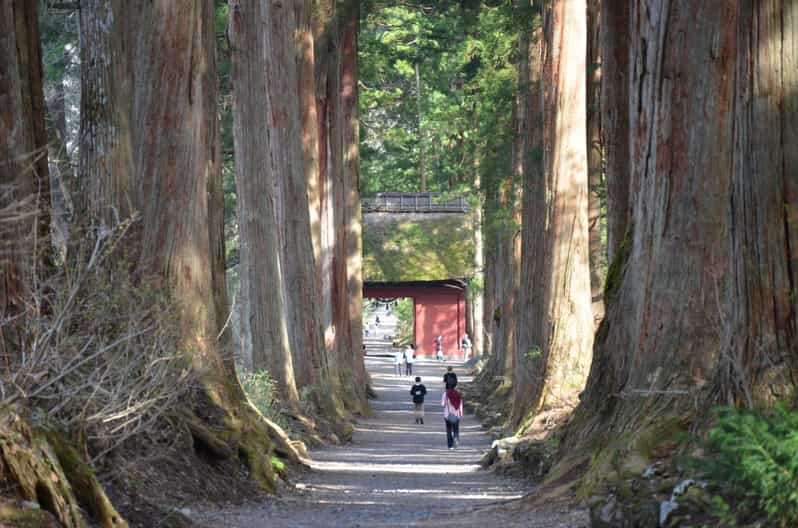 1-Day Togakushi: Soba Making, Ninja Town and Hidden Shrines - Soba Noodle Making Experience