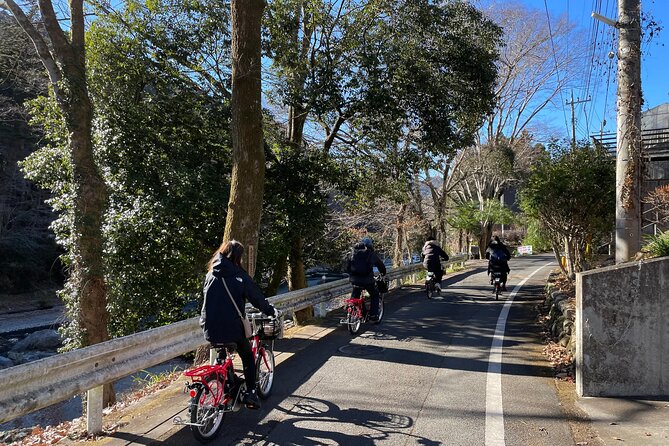 1 Day Tokyo Backcountry Okutama With E-Bike - Key Points