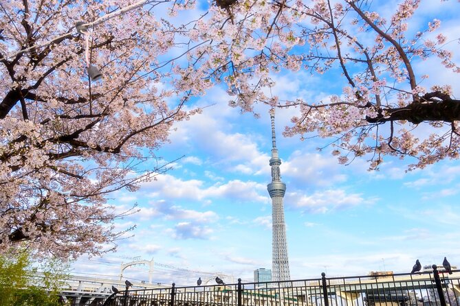 1 Day Tokyo Private Bus Tours + License Guide + Sweets Matcha Set - Key Points