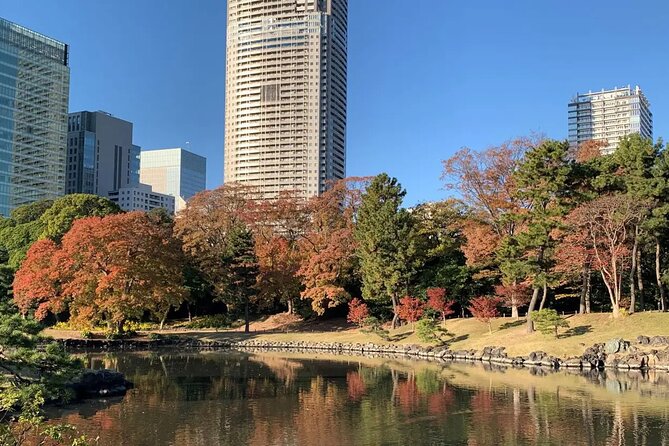 1 Day Tokyo Private Bus Tours + License Guide + Sweets Matcha Set - Accessibility and Participation