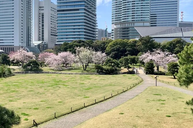 1 Day Tokyo Private Bus Tours + License Guide + Sweets Matcha Set - Immersive Matcha Experience
