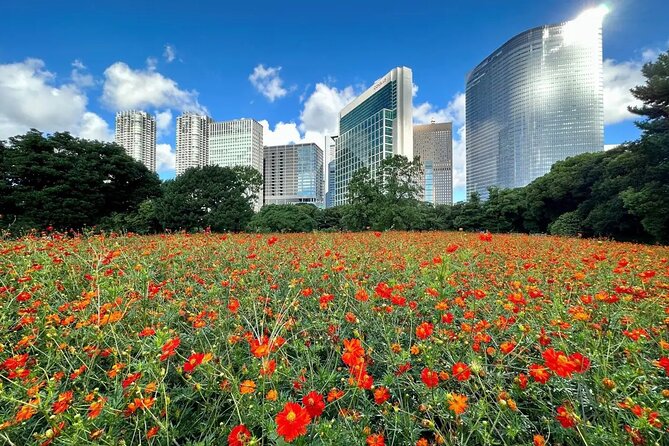 1 Day Tokyo Private Bus Tours + License Guide + Sweets Matcha Set - Delectable Lunch and Snacks