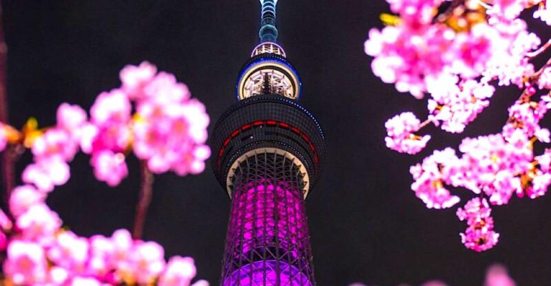 1 Day Tokyo Private Charter Sightseeing Tour With Guide - Included Services
