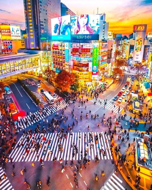 1 Day Tokyo Private Charter Sightseeing Tour With Guide - Sensoji Temple and Nakamise Shopping Street
