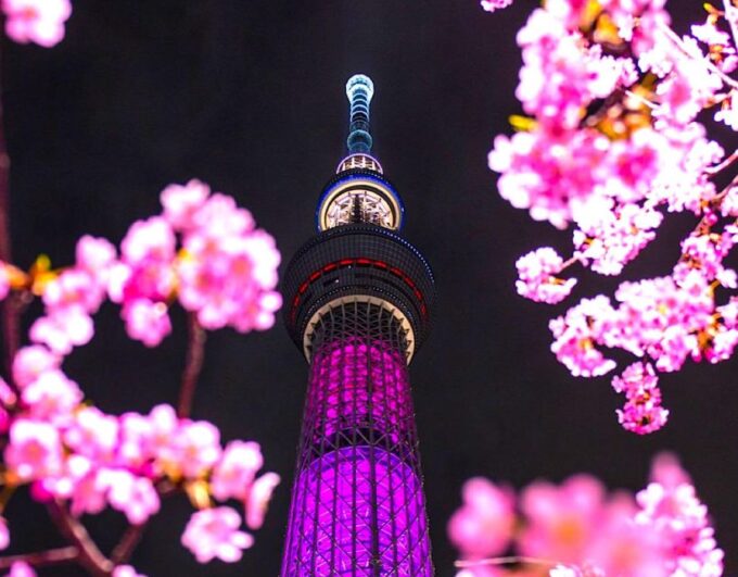1 Day Tokyo Private Charter Sightseeing Tour With Guide - Tokyo Skytree and Imperial Palace