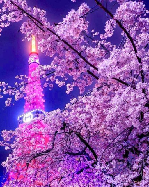 1 Day Tokyo Private Charter Sightseeing Tour With Guide - Frequently Asked Questions