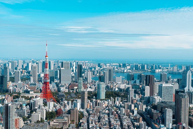 1 Day Tokyo Private Custom Tour - Key Points