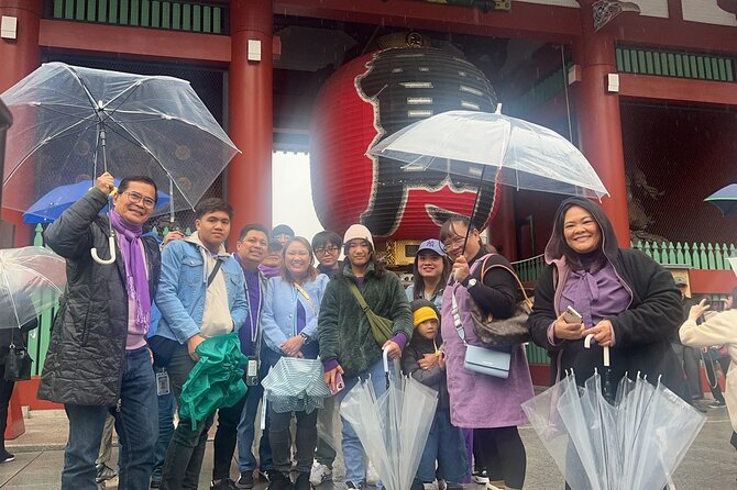 1 Day Tokyo Private Custom Tour - Accessibility and Recommendations