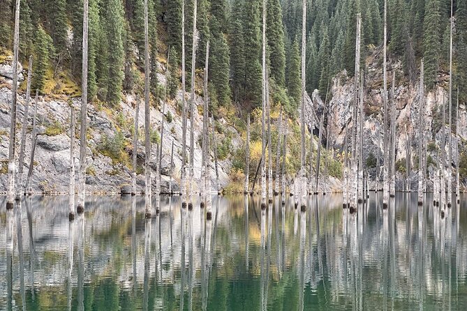 1 Day Tour Charyn Canyon, Kolsai/Kaindy Lakes - Included Features