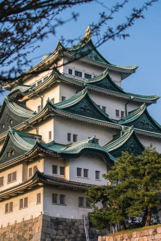 1-Day Tour: Eat Like a Local in Nagoya - Highlights of the Tour