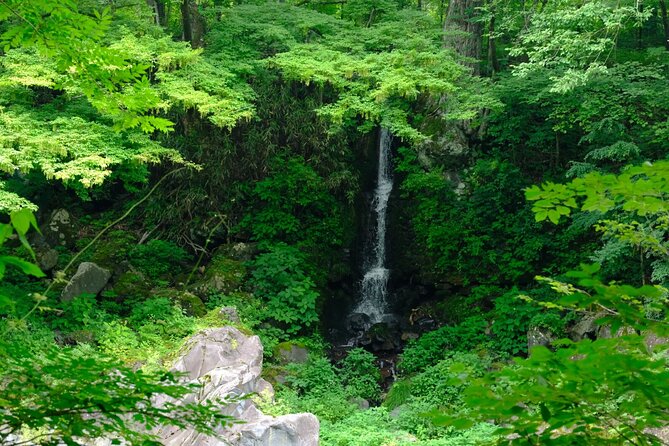 1 Day Tour Explore Nikko's World Heritage and National Park - Toshogu Shrine and Museum