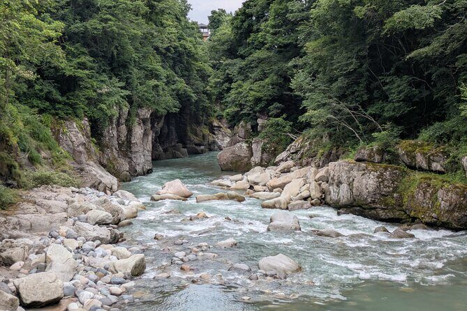 1 Day Tour from Kanazawa Tedori Gorge White Road and Shirakawa Go - Who Should Consider This Tour?