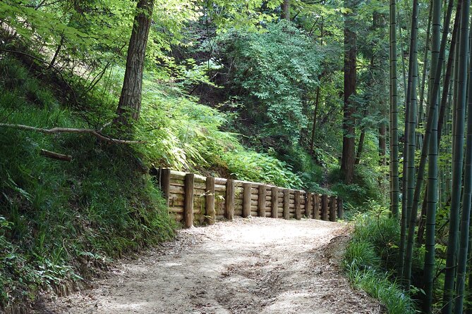 1-Day Tour From Matsumoto: Walk the Nakasendo Trail - Walking the Nakasendo Trail
