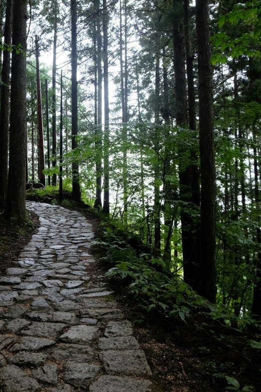 1-Day Tour From Nagoya: Hiking the Historic Nakasendo Trail - Magome-juku Discovery