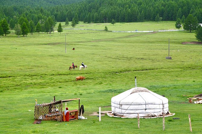 1 Day Tour: Khustai National Park - Discovering the Takhi Horses
