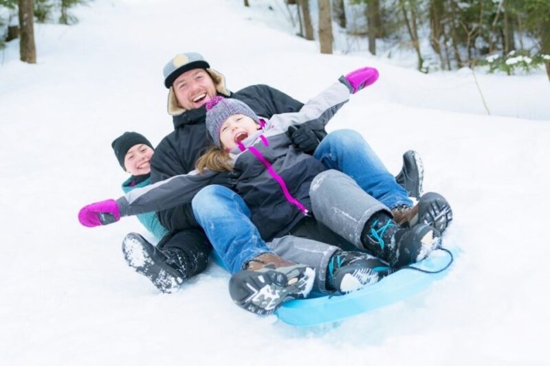 1 Day Tour: Snow Monkeys & Snow Fun in Shiga Kogen - Key Points