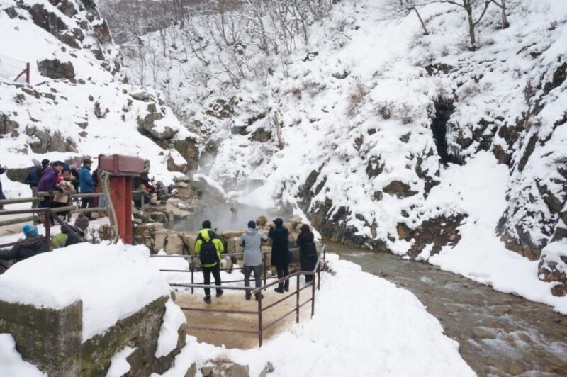 1 Day Tour: Snow Monkeys & Snow Fun in Shiga Kogen - Snow Activities
