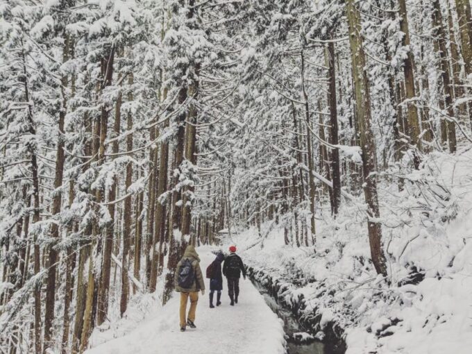 1 Day Tour: Snow Monkeys & Snow Fun in Shiga Kogen - Important Information