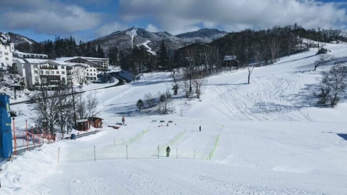 1 Day Tour: Snow Monkeys & Snow Fun in Shiga Kogen - Frequently Asked Questions