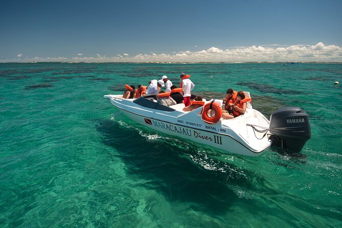 1-Day Tour to Maracajaú - From Natal (Optional Speedboat) - Snorkeling and Scuba Diving