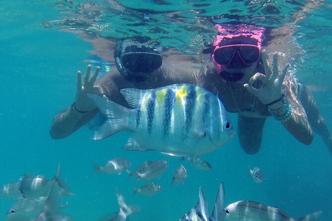 1-Day Tour to Maracajaú - From Natal (Optional Speedboat) - Booking Details
