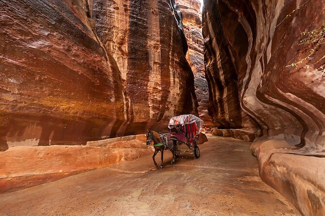 1 Day Tour to Petra From Eilat - Preparing for the Tour