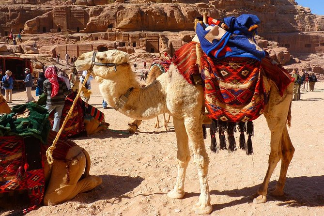 1 Day Tour to Petra From Sharm-el-Sheikh - Petra Exploration