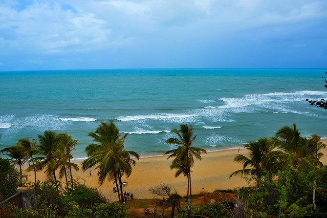 1 Day Tour to Pipa Beach / RN - Departing From Natal / RN - Traveler Capacity