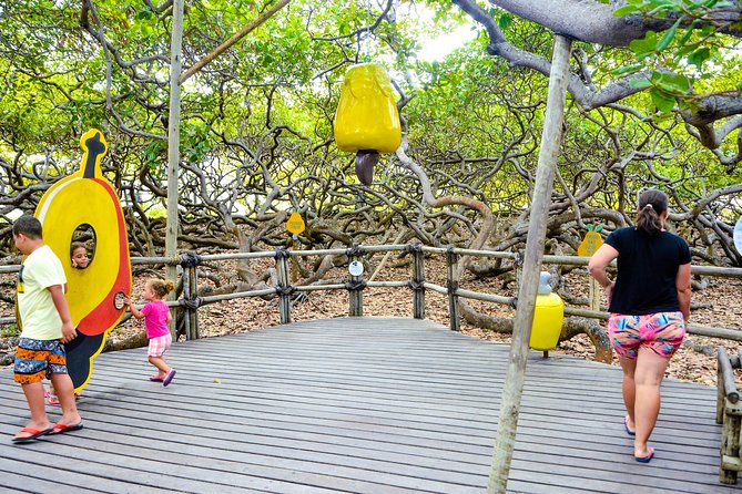 1 Day Tour to the South Coast With Lagoa / RN - Leaving Natal / RN - Cancellation Policy