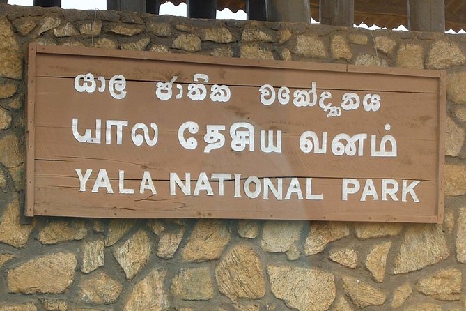 1 Day Tour to Yala National Park or Udawalawe National Park - Yala National Park